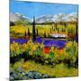 Provence 885120-Pol Ledent-Mounted Art Print