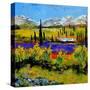 Provence 885120-Pol Ledent-Stretched Canvas