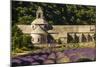 Provence, Abbey de Senanque at Lavender season-George Theodore-Mounted Photographic Print