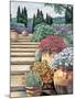 Provence Afternoon II-Elizabeth Wright-Mounted Art Print