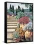 Provence Afternoon II-Elizabeth Wright-Framed Stretched Canvas