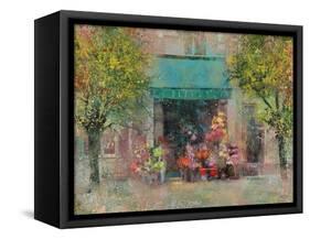 Provence Flower Shop-Eric Yang-Framed Stretched Canvas