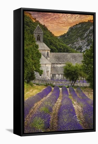 Provence, France - Lavender Fields-Lantern Press-Framed Stretched Canvas