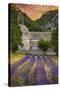 Provence, France - Lavender Fields-Lantern Press-Stretched Canvas