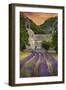 Provence, France - Lavender Fields-Lantern Press-Framed Premium Giclee Print