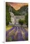 Provence, France - Lavender Fields-Lantern Press-Framed Art Print