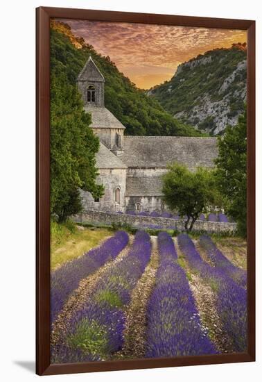 Provence, France - Lavender Fields-Lantern Press-Framed Art Print