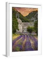 Provence, France - Lavender Fields-Lantern Press-Framed Art Print