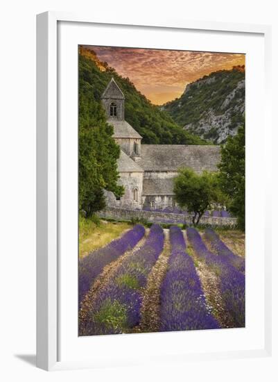 Provence, France - Lavender Fields-Lantern Press-Framed Art Print