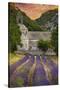 Provence, France - Lavender Fields-Lantern Press-Stretched Canvas