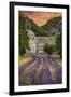 Provence, France - Lavender Fields-Lantern Press-Framed Art Print