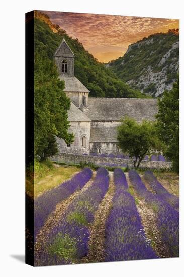 Provence, France - Lavender Fields-Lantern Press-Stretched Canvas