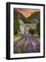 Provence, France - Lavender Fields-Lantern Press-Framed Art Print