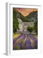 Provence, France - Lavender Fields-Lantern Press-Framed Art Print