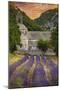 Provence, France - Lavender Fields-Lantern Press-Mounted Art Print