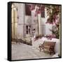 Provence I-Alan Blaustein-Framed Stretched Canvas