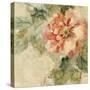 Provence Rose Crop II-Cheri Blum-Stretched Canvas