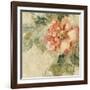 Provence Rose Crop II-Cheri Blum-Framed Art Print