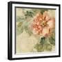 Provence Rose Crop II-Cheri Blum-Framed Art Print