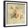 Provence Rose I-Cheri Blum-Framed Art Print