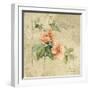 Provence Rose I-Cheri Blum-Framed Art Print