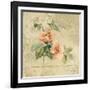 Provence Rose I-Cheri Blum-Framed Art Print