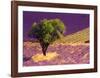 Provence Scene-Alain Christof-Framed Art Print