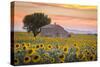 Provence, Valensole Plateau, France-Francesco Riccardo Iacomino-Stretched Canvas