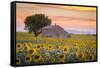 Provence, Valensole Plateau, France-Francesco Riccardo Iacomino-Framed Stretched Canvas