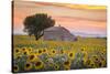 Provence, Valensole Plateau, France-Francesco Riccardo Iacomino-Stretched Canvas