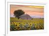 Provence, Valensole Plateau, France-Francesco Riccardo Iacomino-Framed Photographic Print