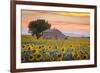 Provence, Valensole Plateau, France-Francesco Riccardo Iacomino-Framed Photographic Print