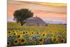 Provence, Valensole Plateau, France-Francesco Riccardo Iacomino-Mounted Photographic Print