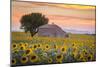 Provence, Valensole Plateau, France-Francesco Riccardo Iacomino-Mounted Photographic Print