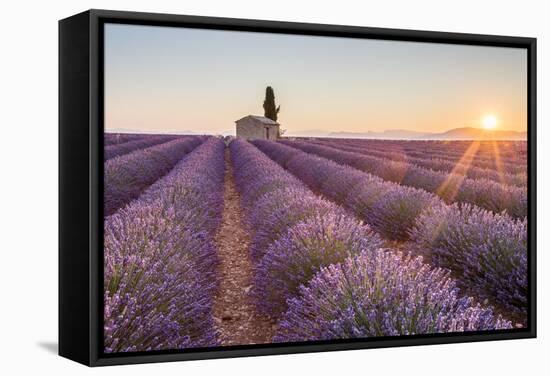 Provence, Valensole Plateau-Francesco Riccardo Iacomino-Framed Stretched Canvas