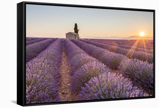 Provence, Valensole Plateau-Francesco Riccardo Iacomino-Framed Stretched Canvas