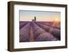 Provence, Valensole Plateau-Francesco Riccardo Iacomino-Framed Premium Photographic Print