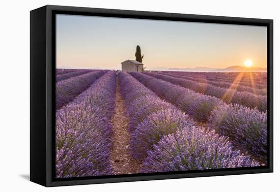 Provence, Valensole Plateau-Francesco Riccardo Iacomino-Framed Stretched Canvas