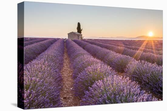 Provence, Valensole Plateau-Francesco Riccardo Iacomino-Stretched Canvas