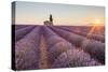 Provence, Valensole Plateau-Francesco Riccardo Iacomino-Stretched Canvas