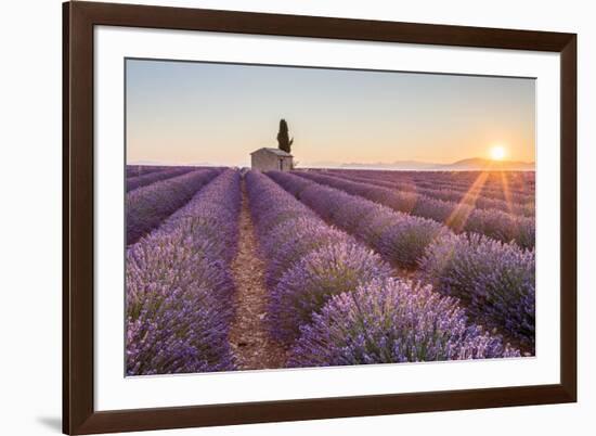 Provence, Valensole Plateau-Francesco Riccardo Iacomino-Framed Photographic Print