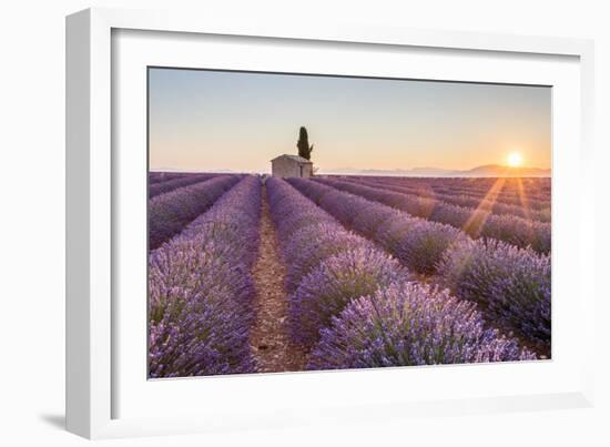 Provence, Valensole Plateau-Francesco Riccardo Iacomino-Framed Photographic Print