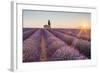 Provence, Valensole Plateau-Francesco Riccardo Iacomino-Framed Photographic Print