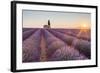 Provence, Valensole Plateau-Francesco Riccardo Iacomino-Framed Photographic Print