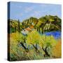 Provence-Pol Ledent-Stretched Canvas