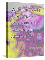 Proverbs 17:9-Cathy Cute-Stretched Canvas