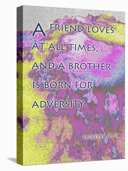 Proverbs 17:9-Cathy Cute-Stretched Canvas