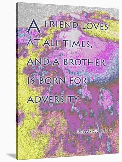 Proverbs 17:9-Cathy Cute-Stretched Canvas