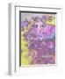 Proverbs 17:9-Cathy Cute-Framed Premium Giclee Print