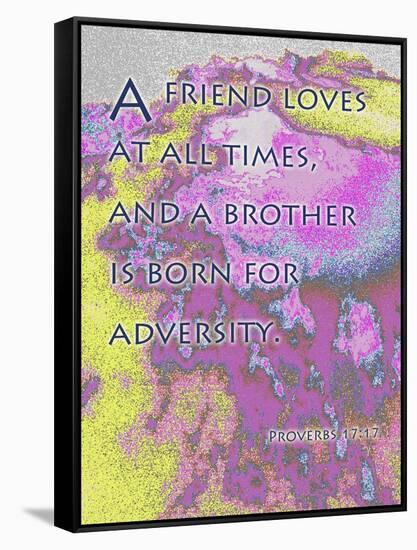 Proverbs 17:9-Cathy Cute-Framed Stretched Canvas